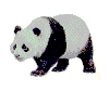 panda.gif (7416 octets)