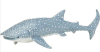 requin_bal.gif (28995 octets)